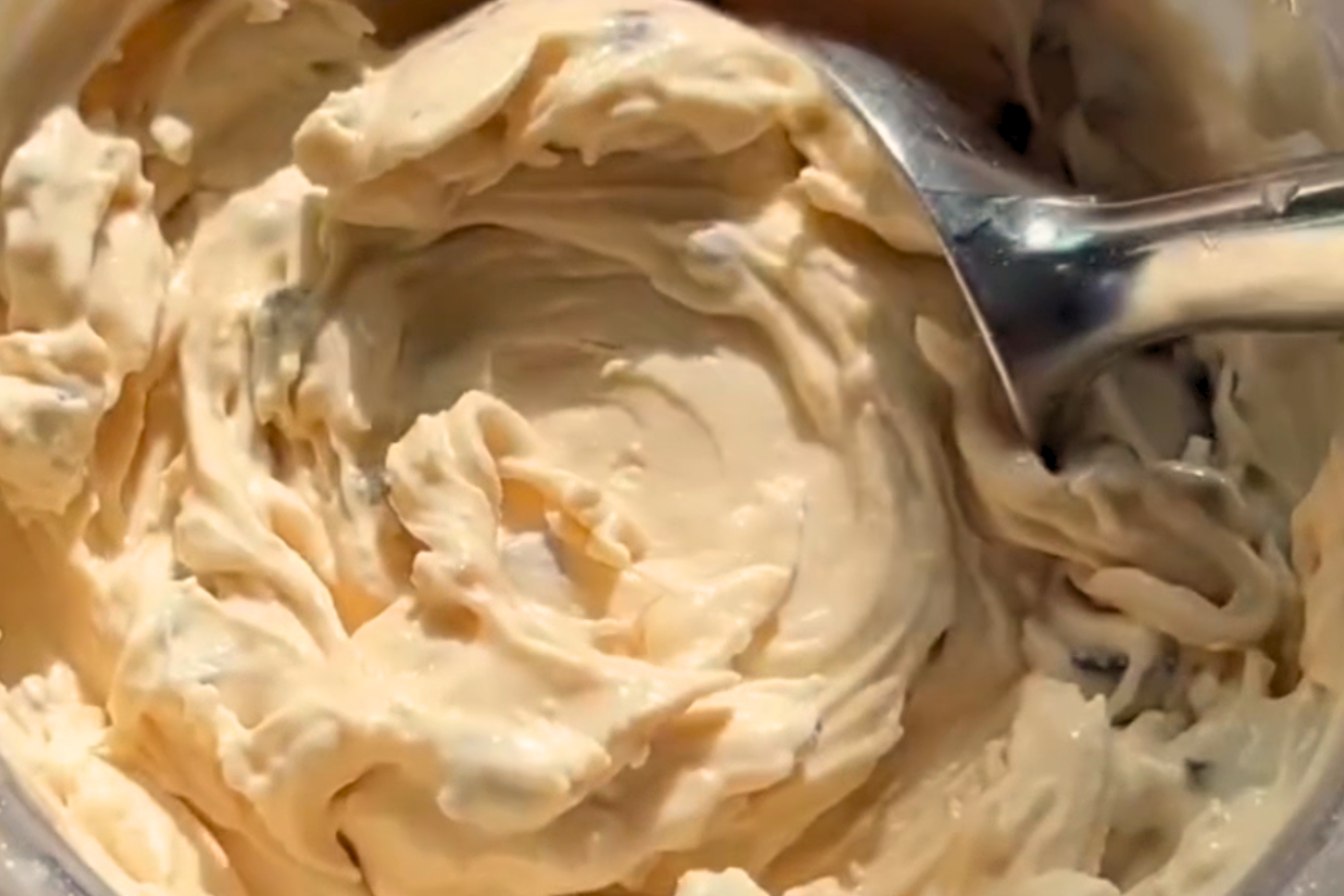 Coffee Chip Ninja Creami Protein Ice Cream