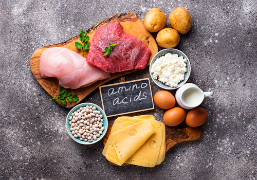 Equip Essential Amino Acids, and Why Complete Protein Matters