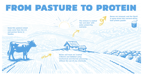 Equip The Power of Beef Protein: A Nutrient-Dense Alternative to Whey & Plant Protein