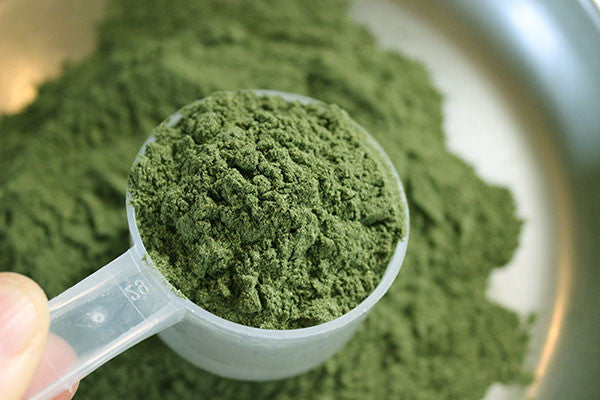 Why Greens Powders Are NOT Created Equal