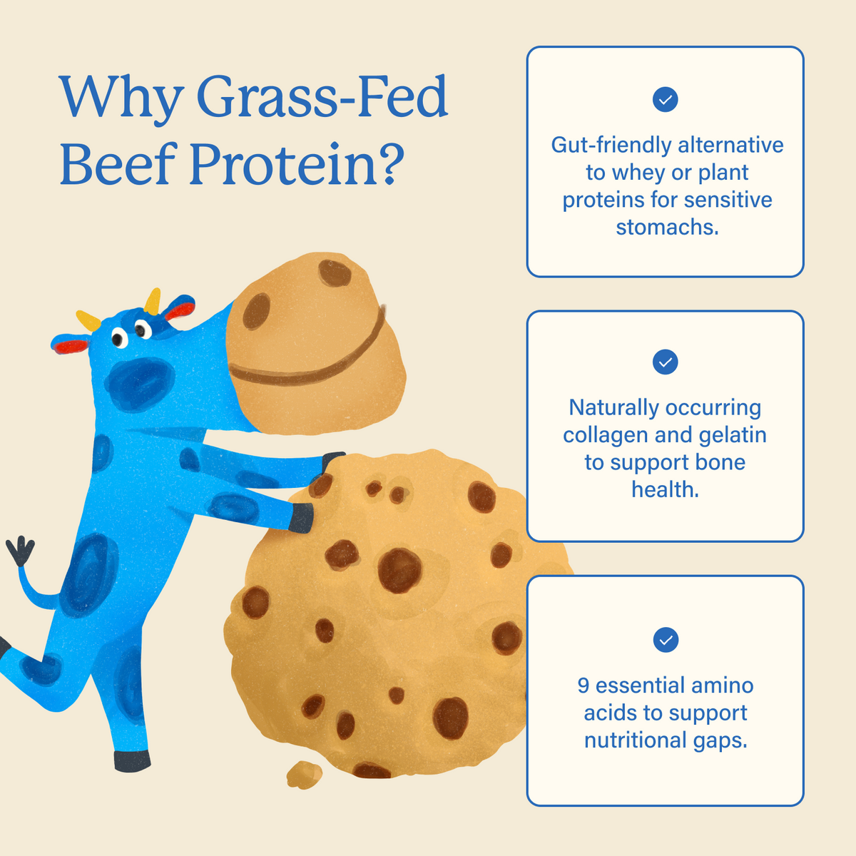Kids Protein Bar
