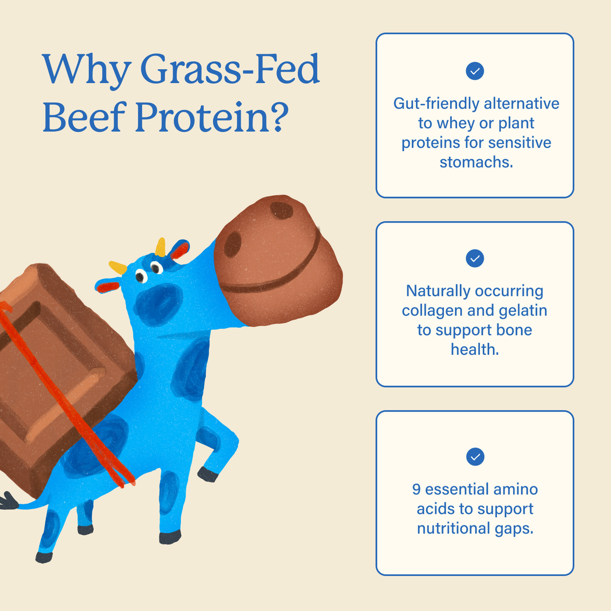 Kids Protein Powder