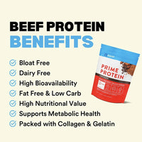 Beef Protein Benefits
